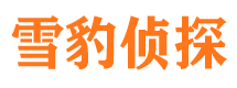 山西市调查公司